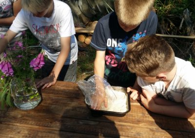 River Dart Expedition