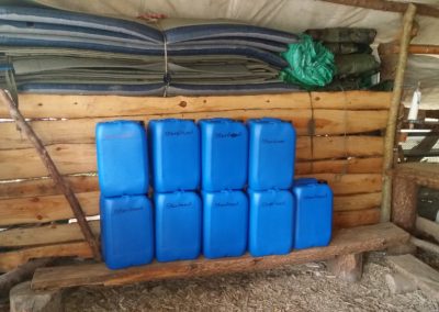River Dart Expedition