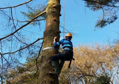River Dart Expedition
