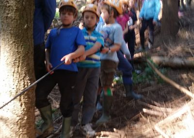 River Dart Expedition